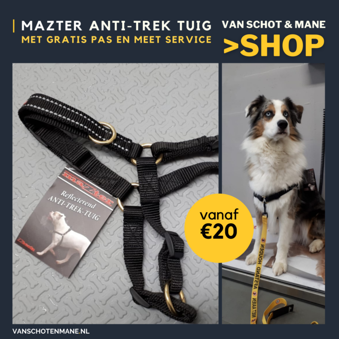Mazter anti-trek tuig | Met gratis pas en meet service